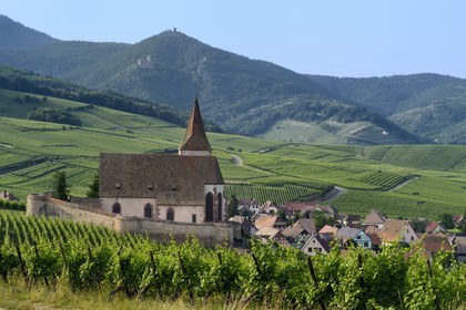 France, Haut-Rhin (68), Route des Vins d'Alsace, Hunawihr, labellisé Les Plus Beaux Villages de France, Eglise de Sainte-Hune