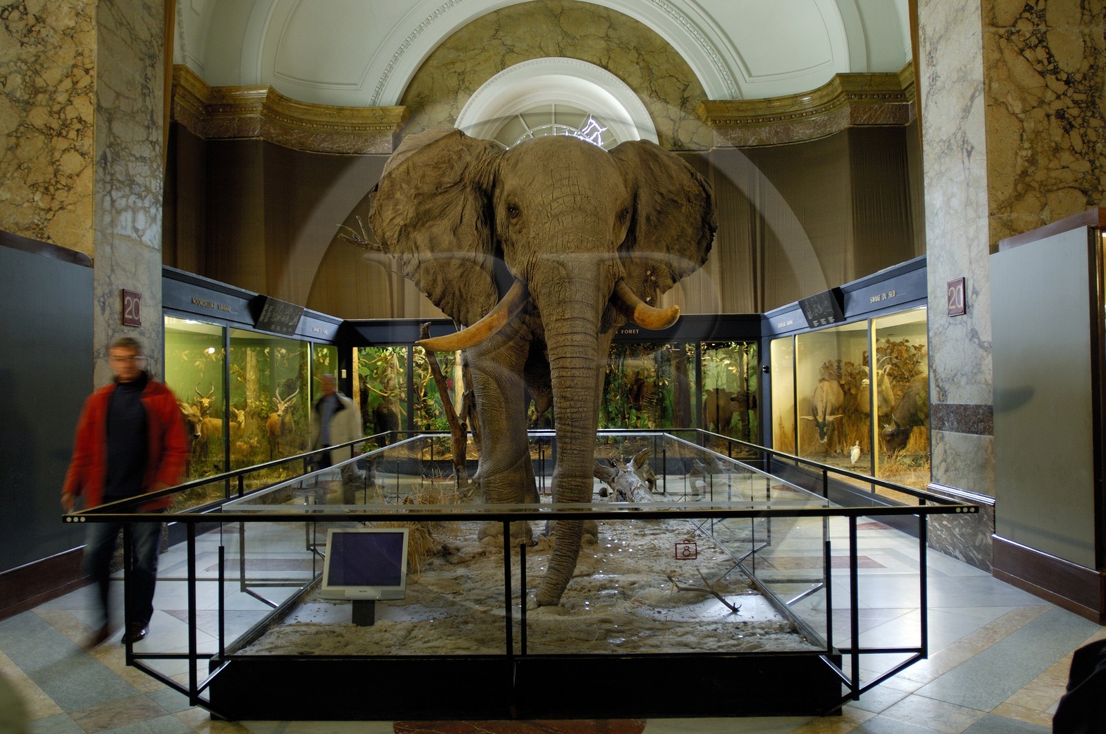 Belgique, Tervueren (région de Bruxelles), Musée d'Afrique Centrale