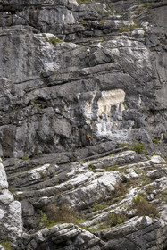 France, Alpes de Haute Provence, Parc Naturel Régional du Verdon, Rougon, Grand Canyon of Verdon, climbers on a wall of the cliffs of the corridor Samson, seen from the trail sentier Blanc-Martel on the GR4