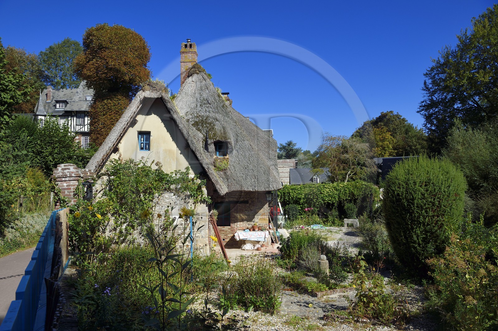 France, Seine-Maritime, Cote d'Albatre (Alabaster Coast), Pays de Caux, Veules les Roses, labelized the Most Beautiful Villages of France, thatched house