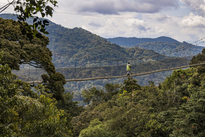 Rwanda, Province de l’Ouest, Colline Ibanda à Uwinka, Parc national de Nyungwe, la Canopy walkway passerelle suspendue qui surplombe la canopée de la forêt tropicale à 70 mètres de haut