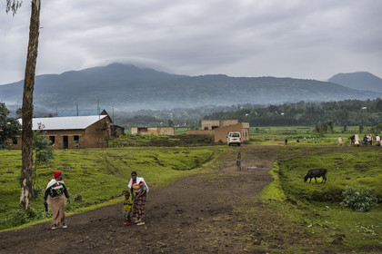 Rwanda, Province du Nord, District de Musanze (Ruhengeri), Rusanze, le mont Karisimbi dans les montagnes des Virunga où vivent les gorilles