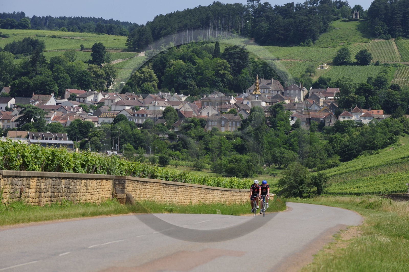 France, Côte d'Or (21), le village de Pernand-Vergeles