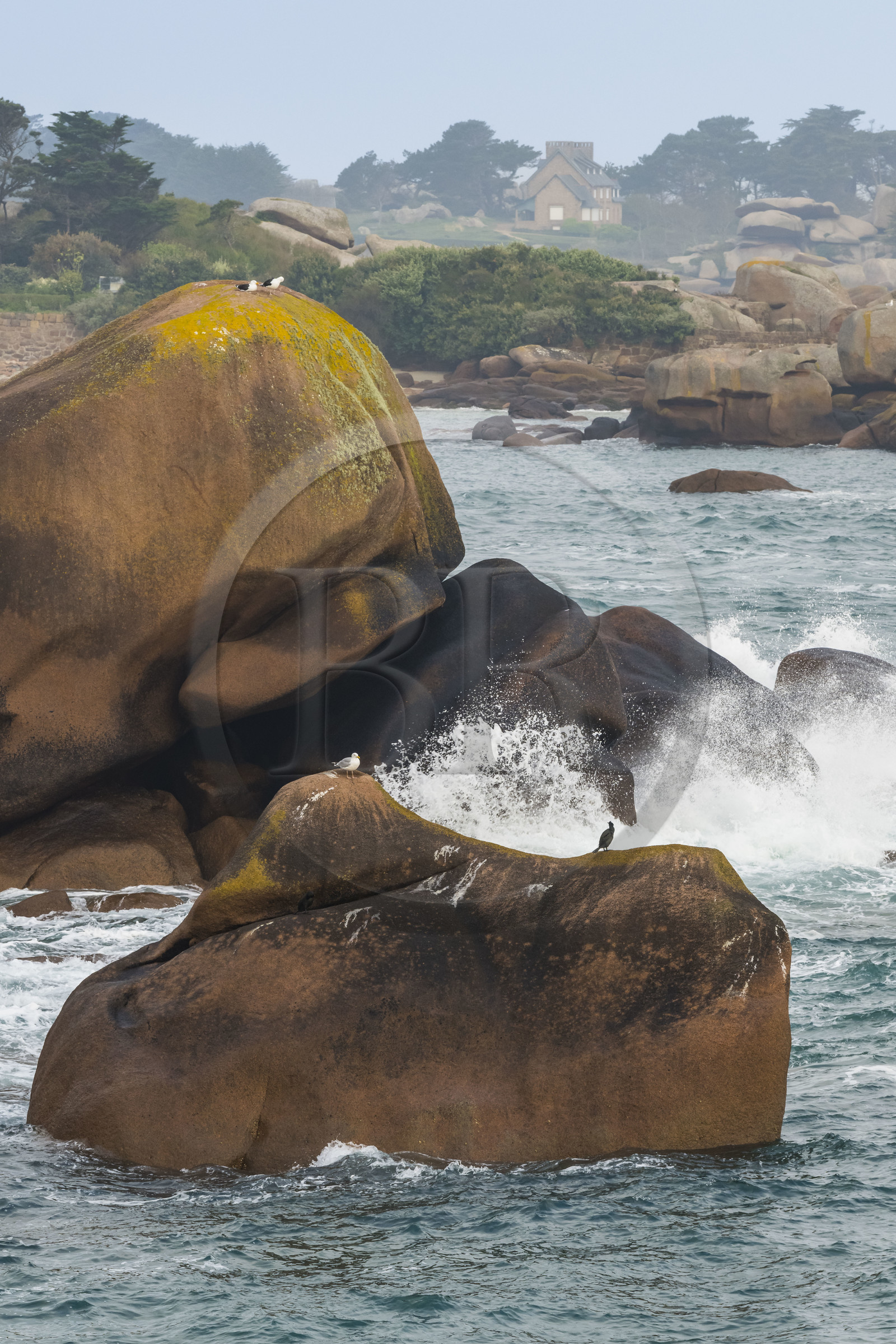 France, Côtes-d'Armor (22), Côte de Granit Rose, Perros-Guirec, Ploumanac'h, pointe de Skewell