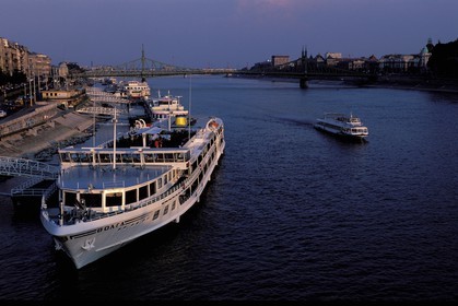 Hungary, Budapest, cruise ships in front of the Liberty bridge on Danube river