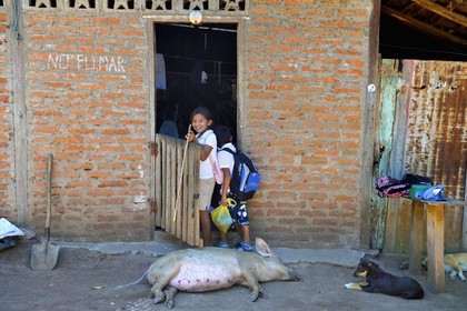 Nicaragua, Ile d'Ometepe sur le lac Nicaragua, village de Merida, enfants devant la maison familial et cochon