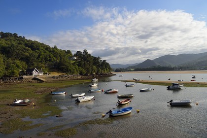 Spain, Basque Country, Biscay Province, Gernika-Lumo region, Urdaibai estuary Biosphere Reserve, estuary of the Oka River at low tide south of Mundaka, small anchorage of Laida