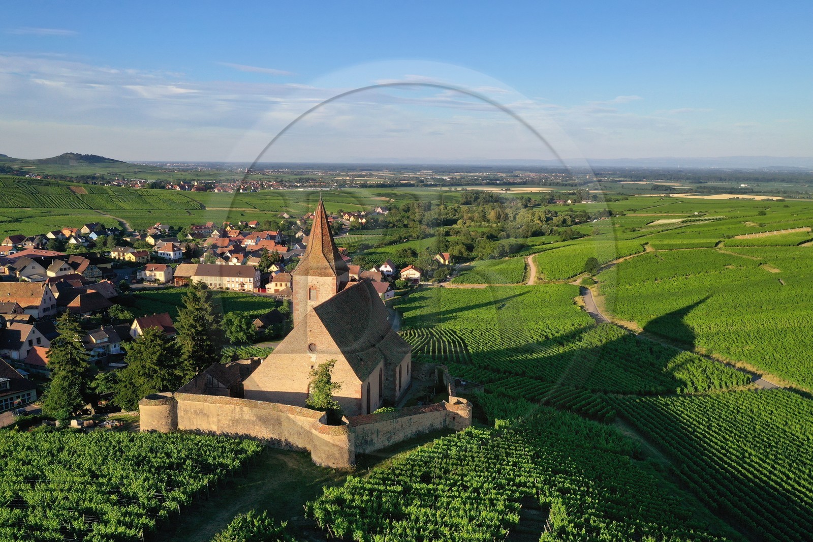 France, Haut-Rhin (68), Route des vins d'Alsace, Hunawihr, labellis