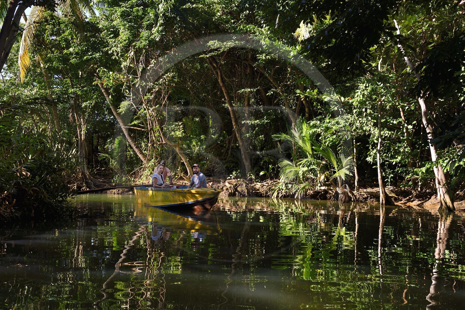 Caraïbes, Ile de la Dominique, Portsmouth, touristes découvrant les rives de l'Indian River en barque