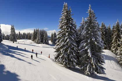 France, Haute Savoie, Morzine, the valley of Aulps, massif of Chablais, ski slopes of the Portes du Soleil, ski slope on the Pléney (1554m)