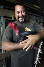 France, Ile de la Reunion, Petit Tampon, combat de coqs dans le Rond de Coq