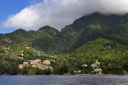 Caraïbes, Ile de la Dominique, Portsmouth, la baie de Prince Rupert