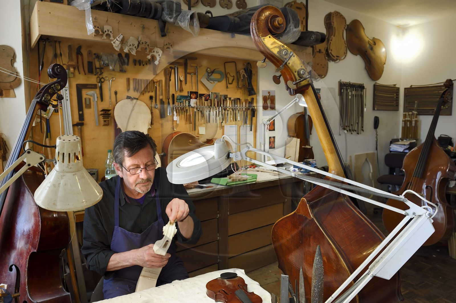France, Dordogne (24), Périgord Blanc, Périgueux, le luthier Damien Florio dans son atelier de la rue Aubergerie