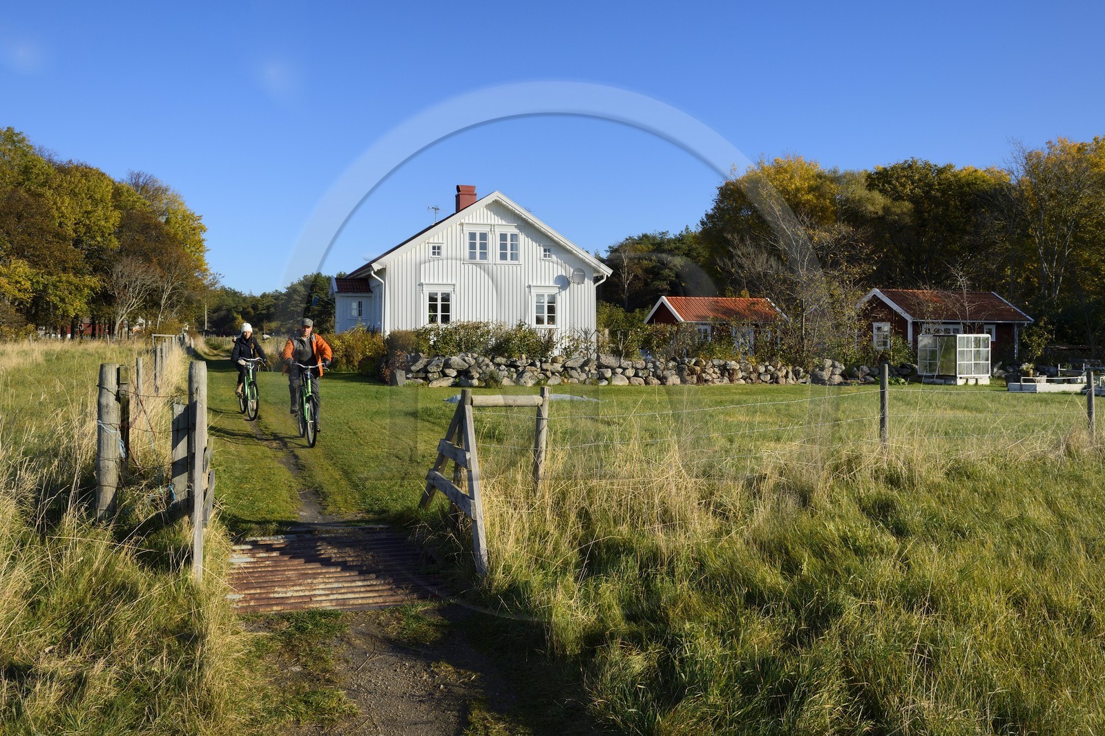 Suède, Västra Götaland, Iles Koster, Sydkoster, découverte de l'ile à bicyclette