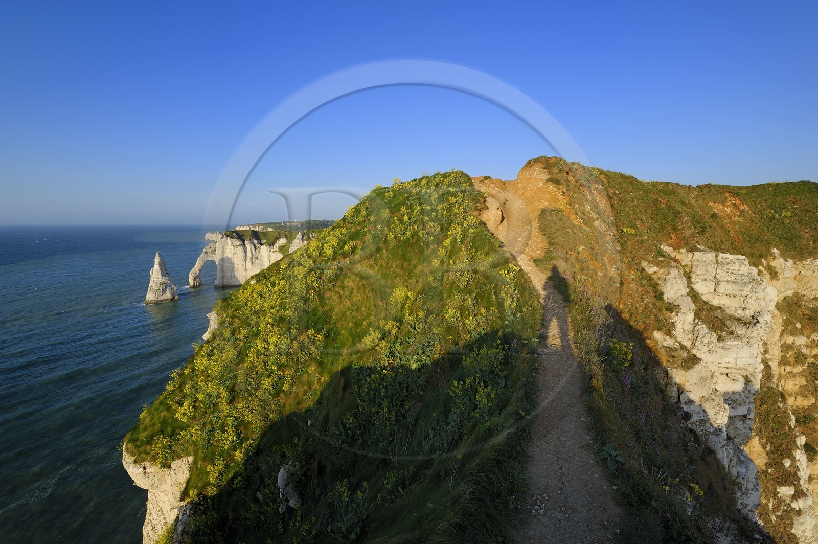 France, Seine-Maritime (76), Pays de Caux, Côte d'Albâtre, Etretat, la falaise d'Aval et l'Aiguille Creuse