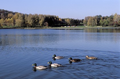 France, Seine Saint Denis, La Courneuve Park, large lake