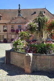France, Haut Rhin, the Alsace Wine Route, Bergheim, fountain of the Place du Docteur-Pierre-Walter in front of the town hall