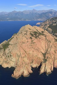 France, Corse du Sud, Golfe de Porto, listed as World Heritage by UNESCO, the Capo Rosso and the Genovese Tower of Turghiu (Turghio) in the background (aerial view)