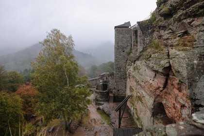 France, Bas-Rhin (67), château de Fleckenstein