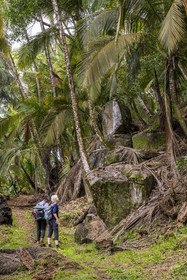 France, Guyane, Kourou, Iles du Salut, Ile Royale, randonnée sur le sentier cotier