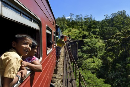 Sri Lanka, Uva Province, the popular scenic train ride through the tea growing hill country between Badulla and Ella