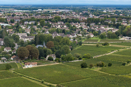 France, Côte-d'Or (21), les climats de Bourgogne classés Patrimoine Mondial de l'UNESCO, Côte de Beaune, Beaune, les parcelles de vigne bordent l'ouest de la ville (vue aérienne)
