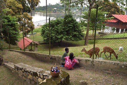 Gabon, Moyen-Ogooue Province, Lambaréné, the former Albert Schweitzer Hospital garden and the Ogooue river