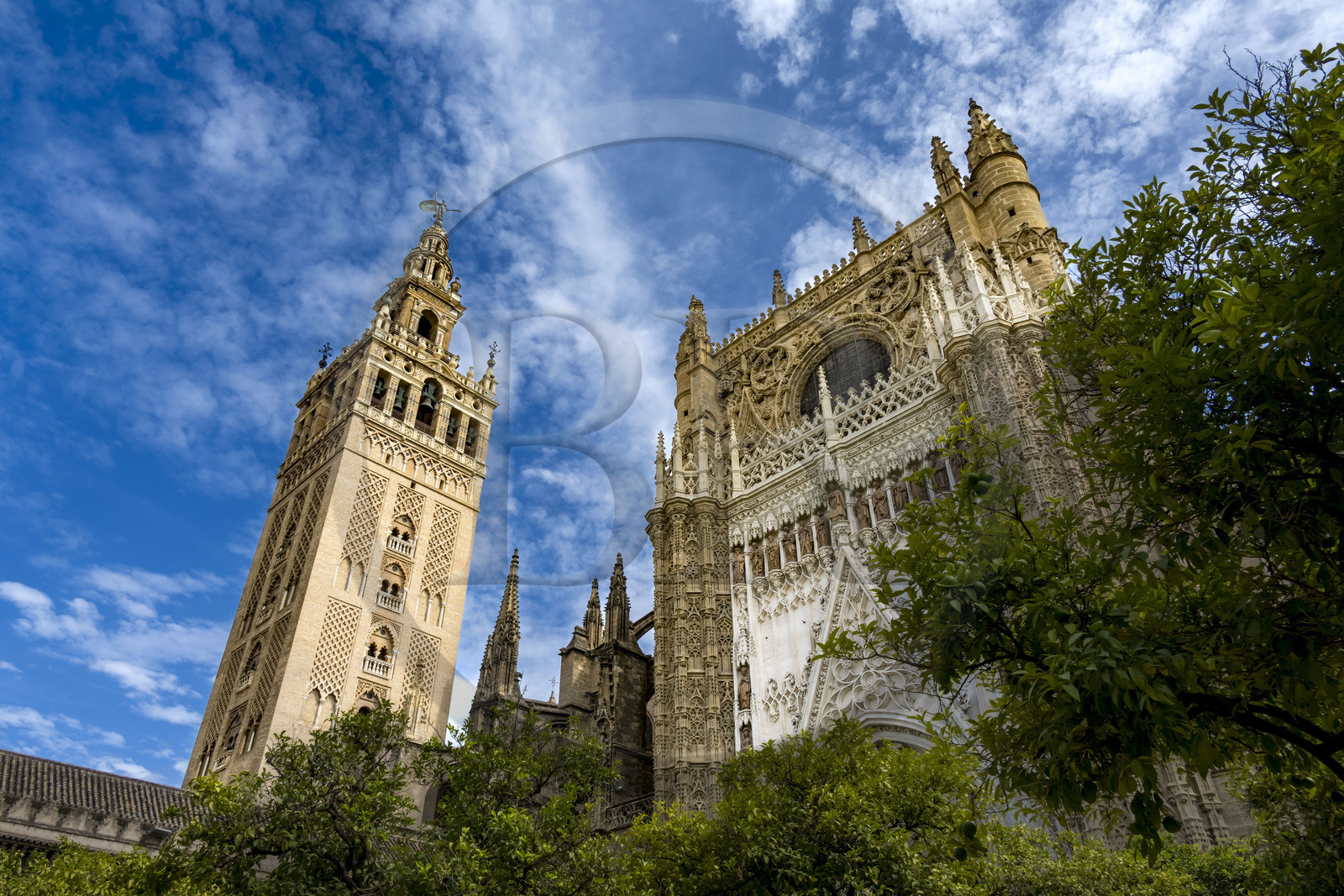 Espagne, Andalousie, Séville, la cathédrale, classé Patrimoine Mondial de l'UNESCO, le Patio de los Naranjos et la tour Giralda