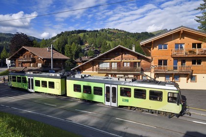 Suisse, canton de Vaud, Gryon-La barboleuse, train allant de Bex dans la vallée à Villars-sur-Ollon en passant par Gryon