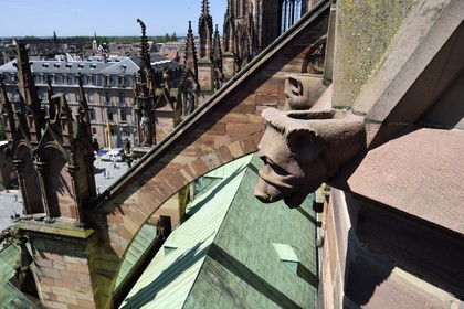 France, Bas-Rhin (67), Strasbourg, vieille ville classée au Patrimoine Mondial de l'UNESCO, la cathédrale Notre-Dame, arcs-boutants de la facade sud et gargouilles