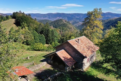 France, Haut-Rhin (68), Parc naturel r