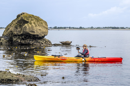 France, Finistère, Penmarch, Étocs archipelago, kayak trip from the Guilvinec Nautical Center to discover the gray seal (halichoerus grypus) in the rocks at low tide