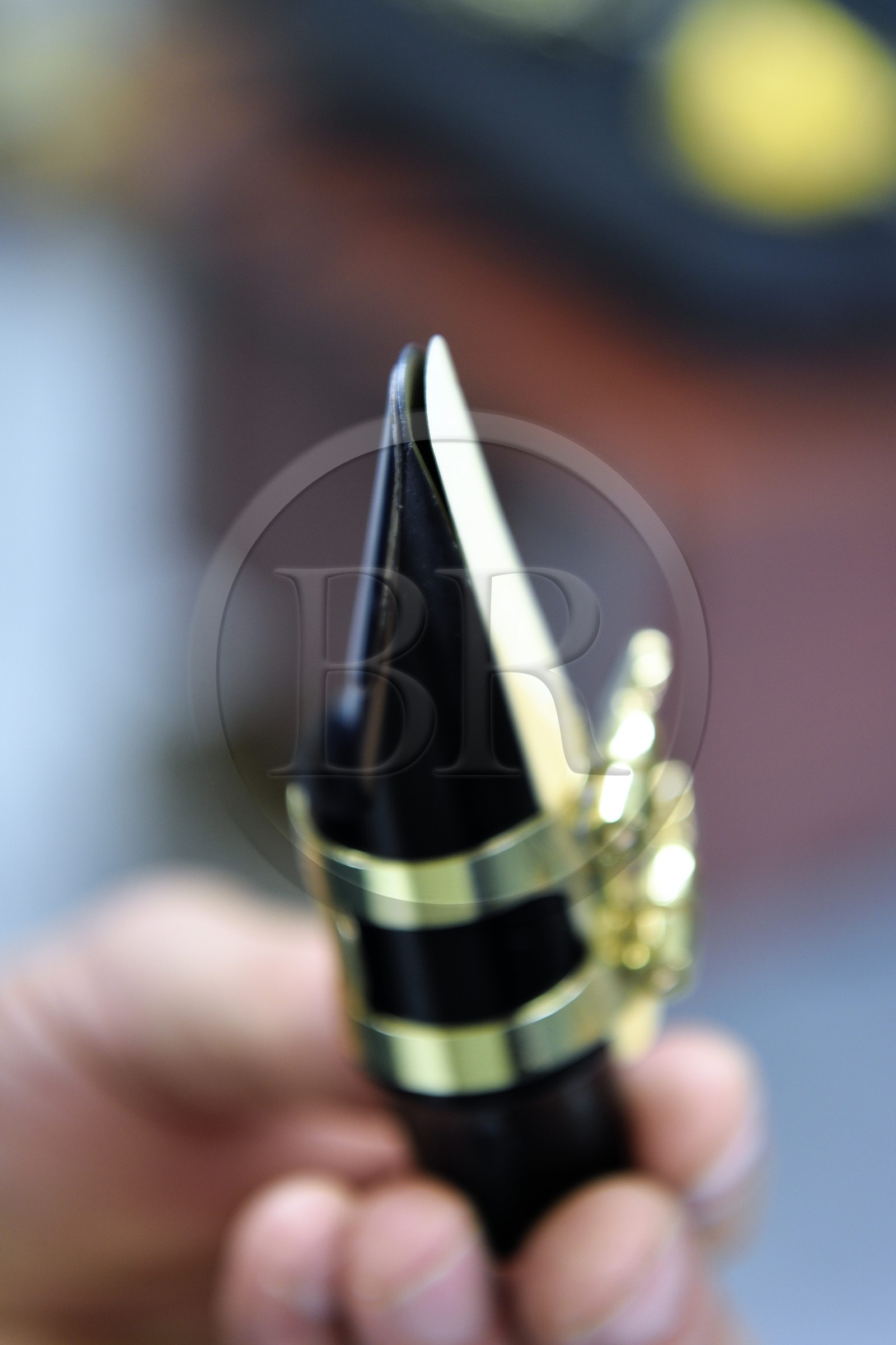 France, Var (83), Presqu'Ile de Saint-Tropez, Cogolin, Daniel Rigotti, fabricant de anches pour saxophones, clarinettes ou encore hautbois