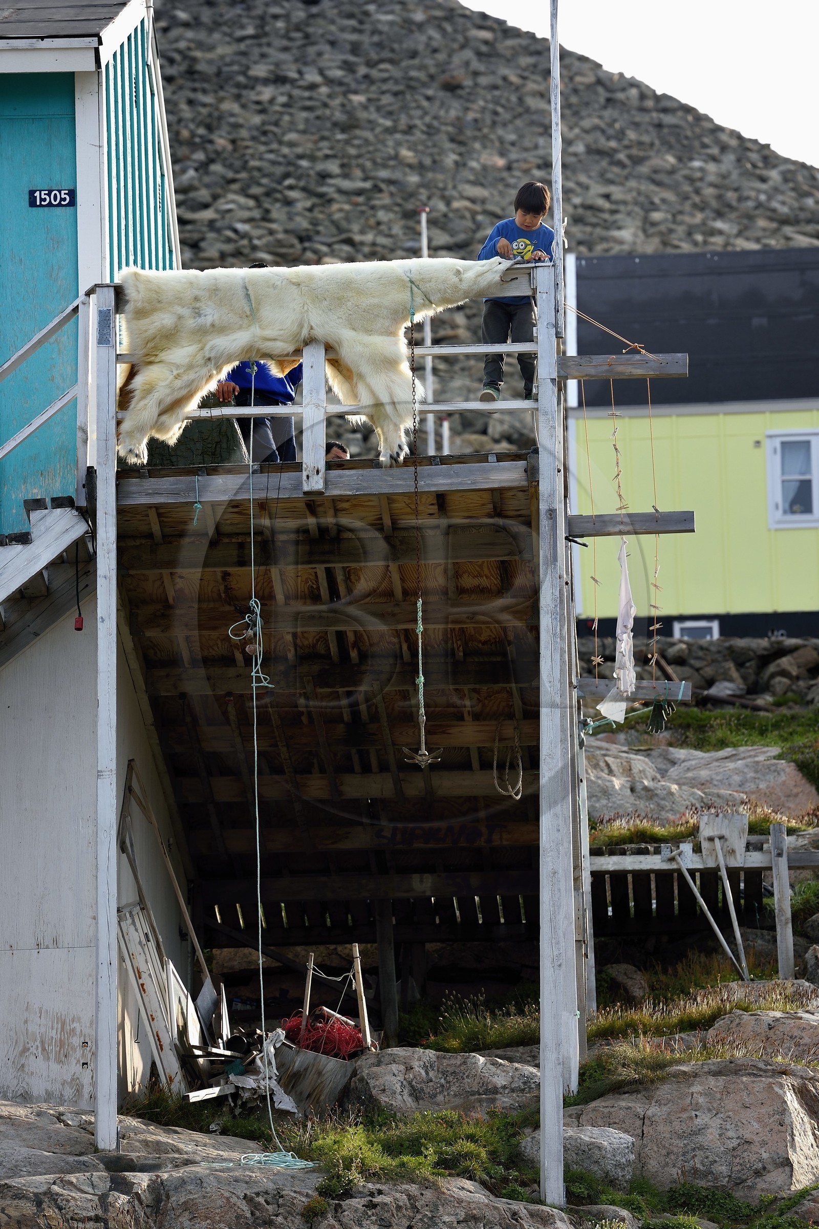 Groenland, cote ouest, baie de Baffin, Upernavik, jeune inuit montrant la peau d'un ours polaire chassé par son père