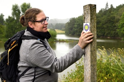 France, Puy de Dome, Aydat, towards the pond of Chateau de Montlosier, Catline Lajoie nature warden at the Parc Naturel Régional des Volcans d'Auvergne (regional nature park of Auvergne volcanoes), marking of the Vichatel Musette nature trail