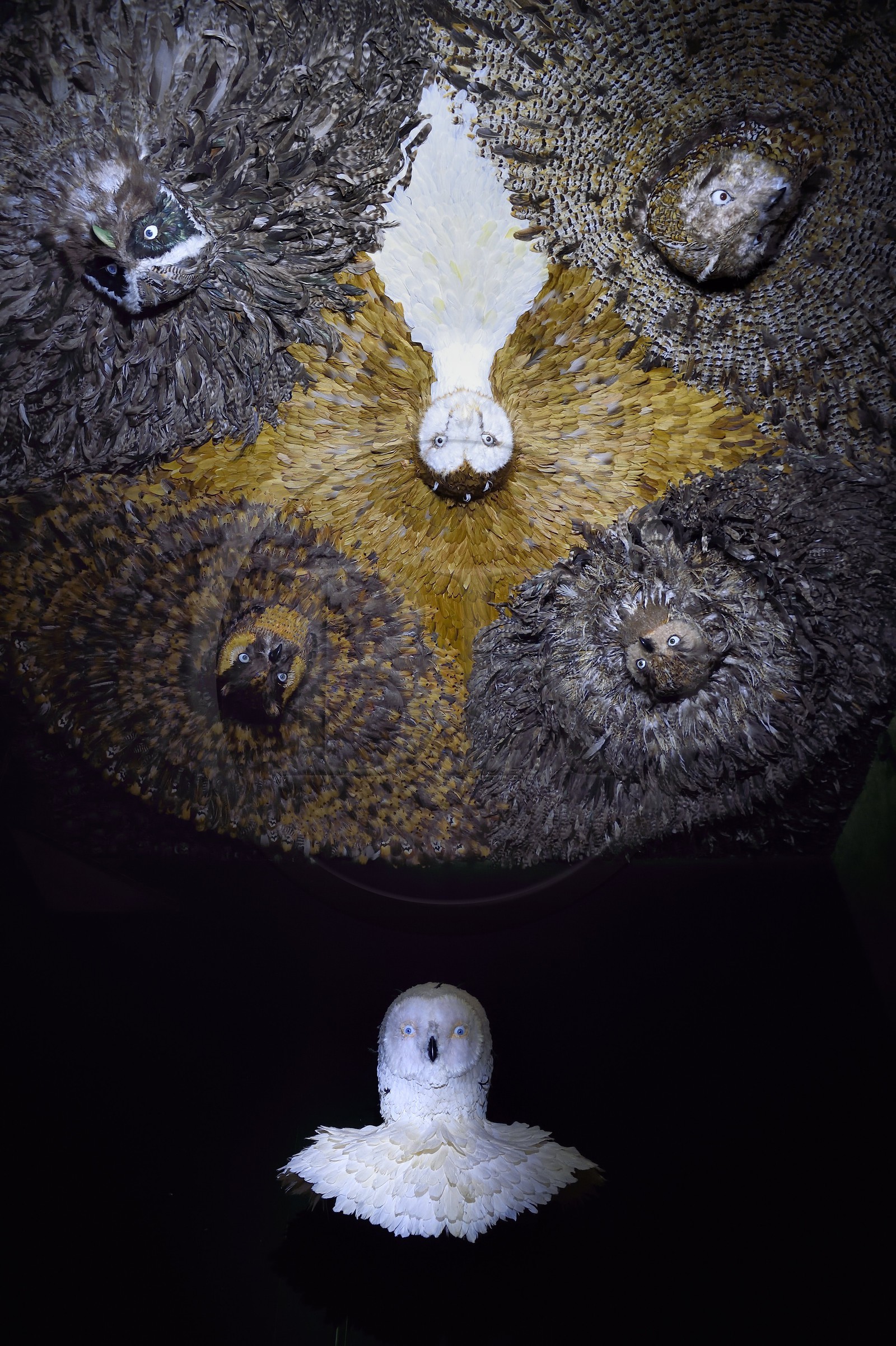 France, Paris (75), quartier du Marais, le musée de la Chasse et de la Nature dans l’hôtel de Guénégaud, la nuit de Diane installation de l’artiste anversois Jan Fabre France, Paris (75), quartier du Marais, le musée de la Chasse et de la Nature dans l’hôtel de Guénégaud, la nuit de Diane installation de l’artiste anversois Jan Fabre