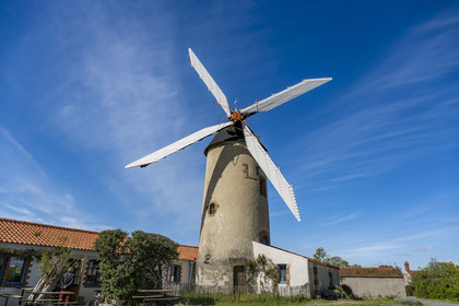 France, Vendée (85), Sallertaine, le moulin à Vent de Rairé