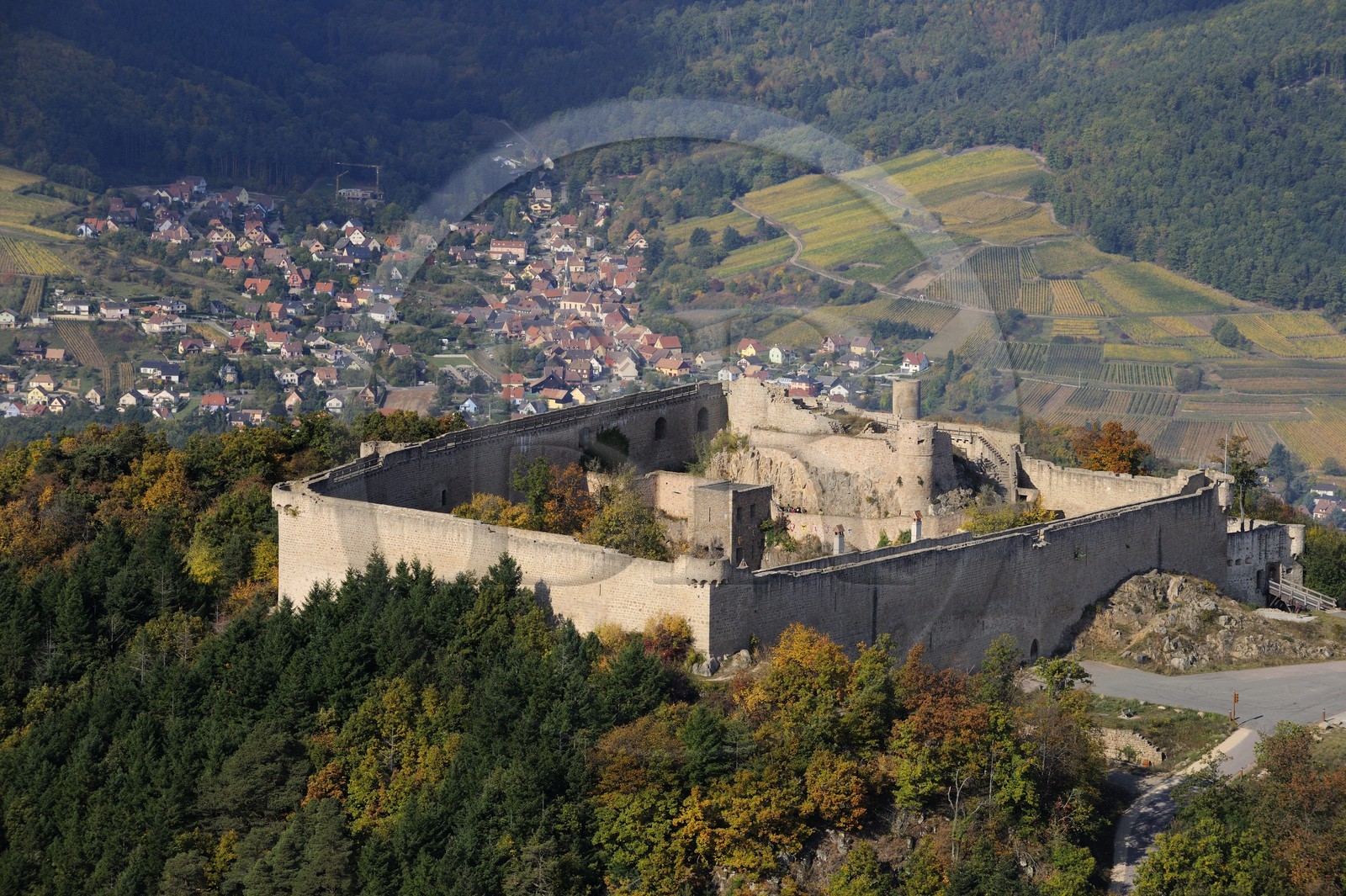 France, Haut-Rhin (68), le château de Hohlandsbourg dans le massif des Vosges sur les hauteurs d'Eguisheim (photo aérienne)