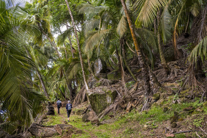 France, French Guiana, Kourou, Salvation Islands (Iles du Salut), Royal Island, hiking on the coastal path