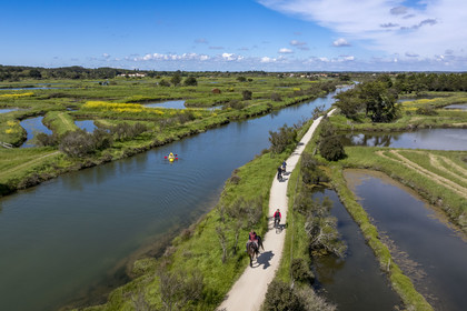 France, Vendée (85), Les-Sables-d'Olonne, marais de l'Auzance, cavalier et cyclistes sur la piste de la véloroute Vendée Vélo Tour et Vélodyssée le long du canal de la Bauduère (vue aérienne)