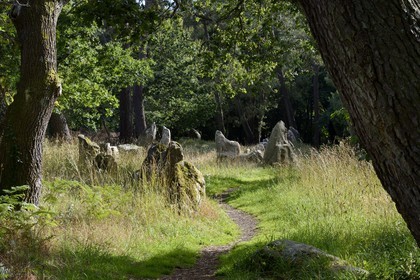 France, Morbihan, Carnac, row of megalithic standing stones at Petit Menec