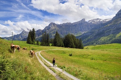 Switzerland, Canton of Vaud, Ormont-Dessus, Les Diablerets, hike around Lake Retaud above the Col du Pillon