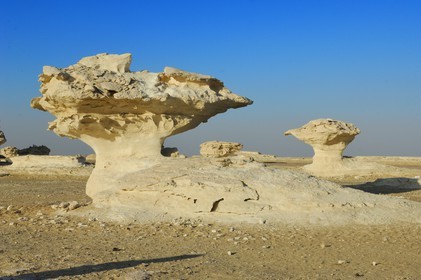 Egypt, Libyan Desert, the White Desert North of Farafra