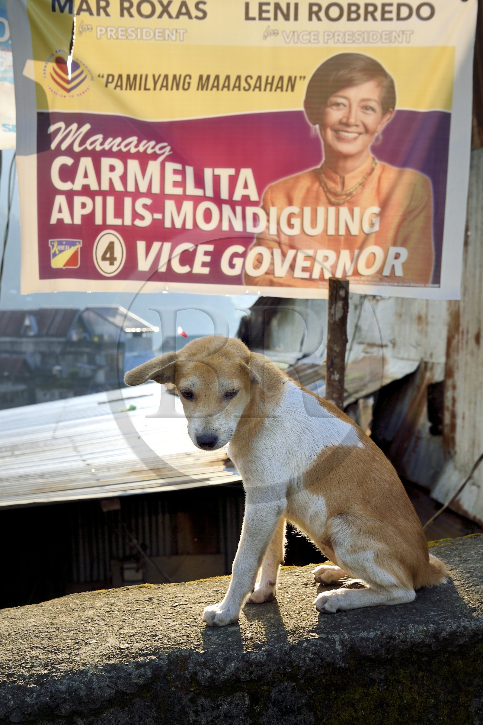 Philippines, province d'Ifugao, ville de Banaue