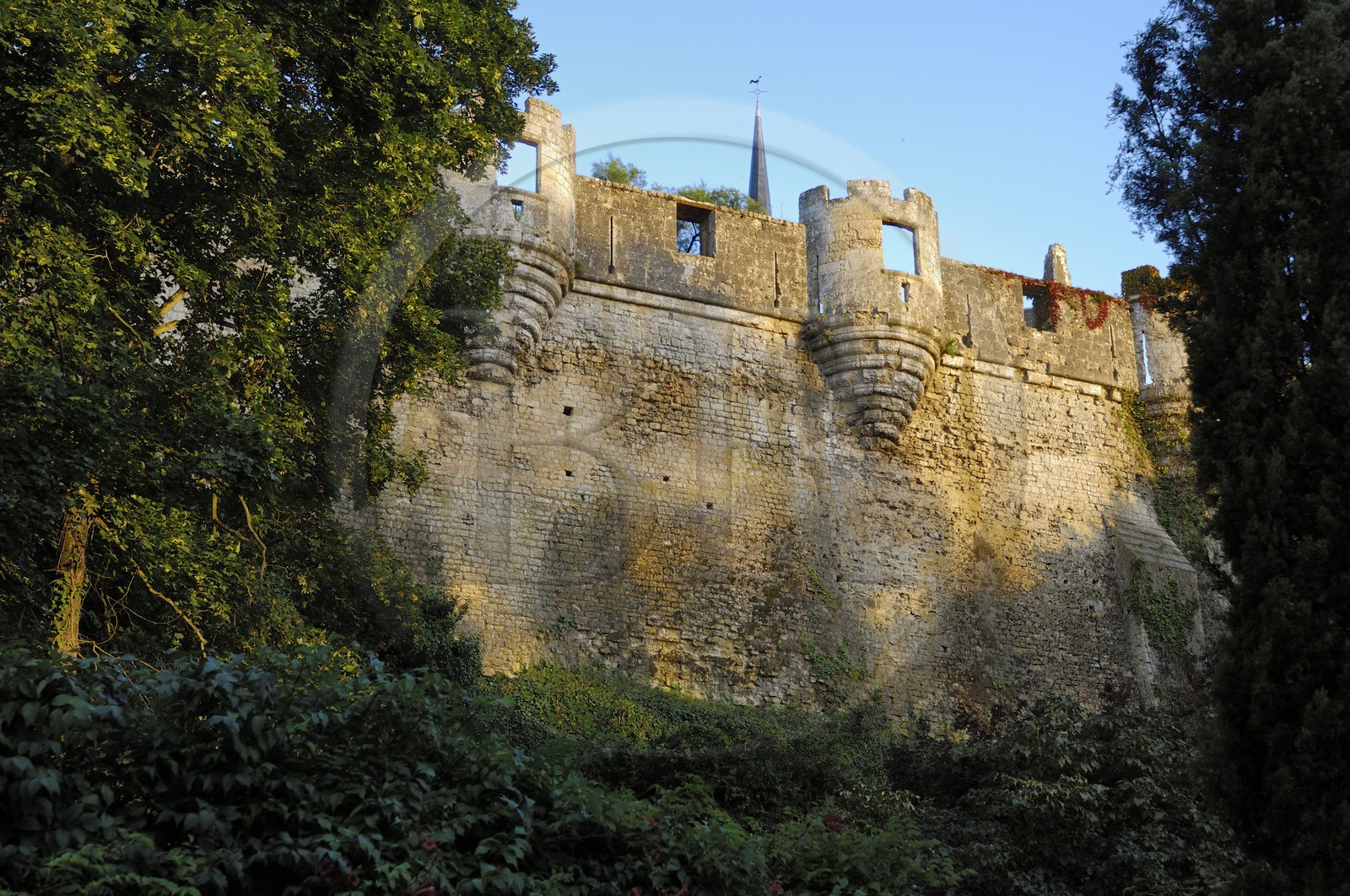 France, Maine et Loire (49), château de Montreuil-Bellay