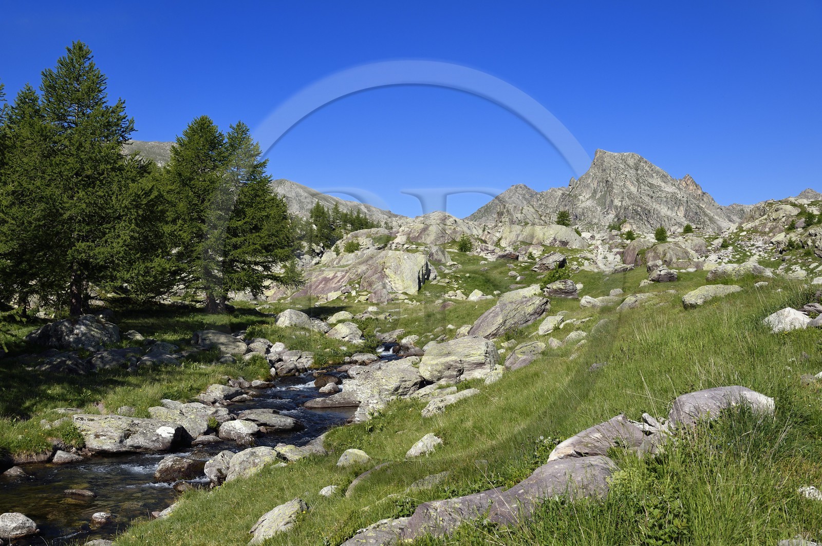 France, Alpes-Maritimes (06), parc national du Mercantour, Vallée des Merveilles parsemée de milliers de gravures rupestres de l'Age de bronze, les alpages en contrebas du lac Long et la montagne Cime des Lacs (2510m) en arrière plan