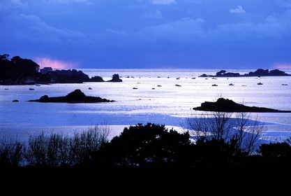 France, Herault, Etang de Vic