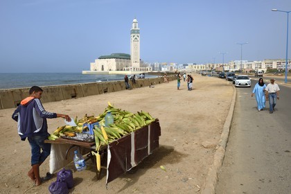 Maroc, Casablanca, vendeur ambulant de maïs grillé devant la Grande Mosquée Hassan II