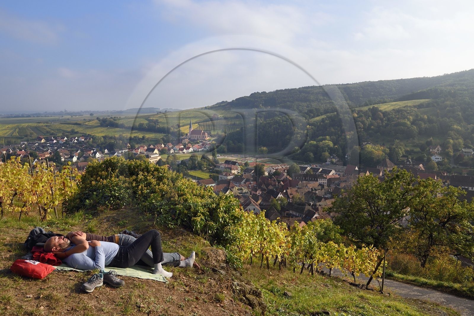 France, Bas Rhin, Alsace Wine Route, Andlau, view of the village and the Saint-André chapel on the edge of the vineyard