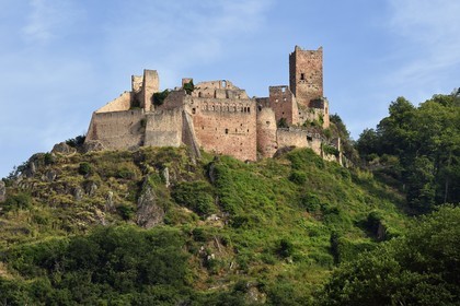 France, Haut-Rhin (68), Route des vins d'Alsace, Ribeauvillé, chateau Saint-Ulrich, résidence des Ribeaupierre jusqu'au XVe siècle